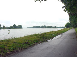Bild T1409 Radweg am Rhein.jpg